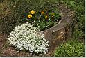 sized_20080809 002